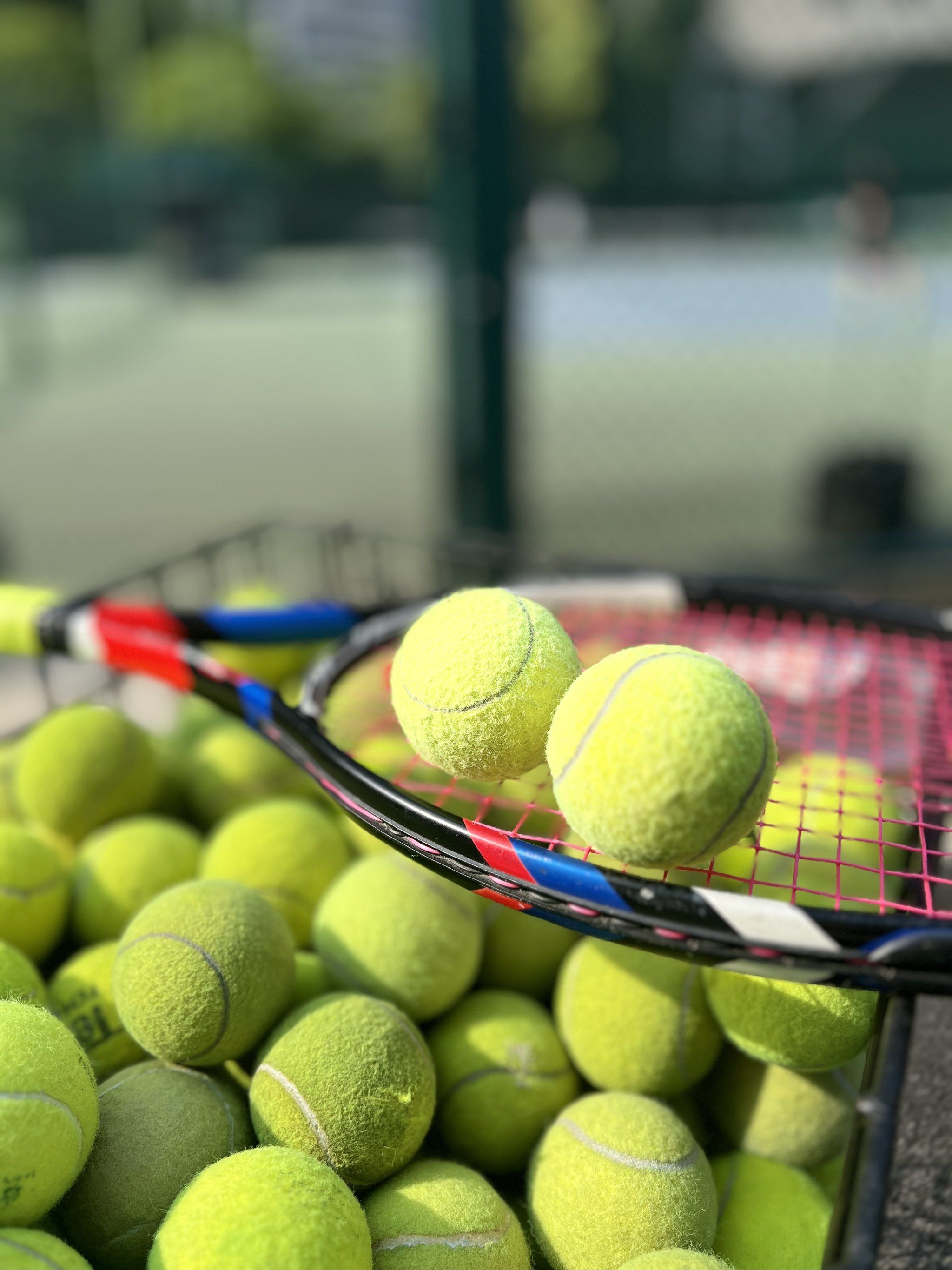 因为这个俱 因为这个俱