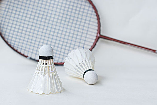 注和批评 注和批评