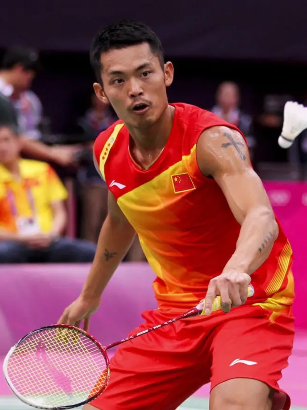 仅展示了他 仅展示了他