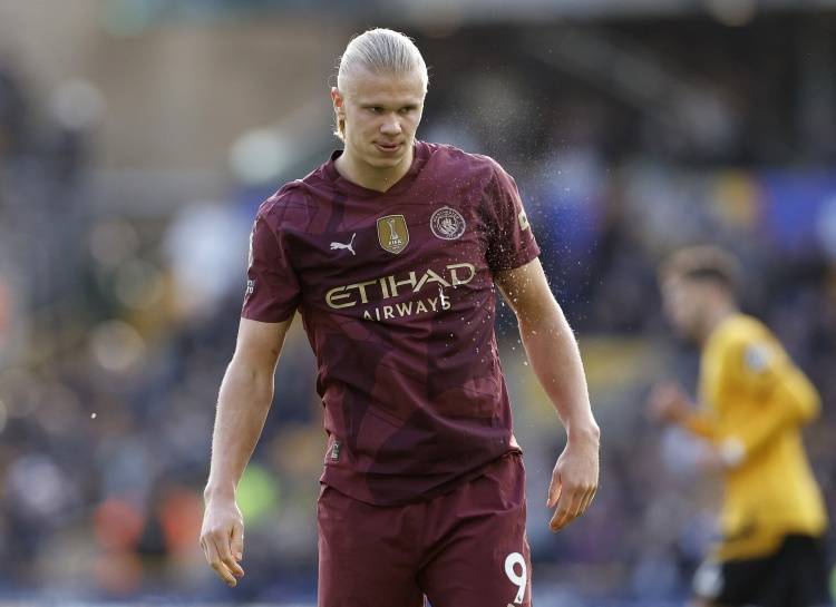 培养与即战 培养与即战